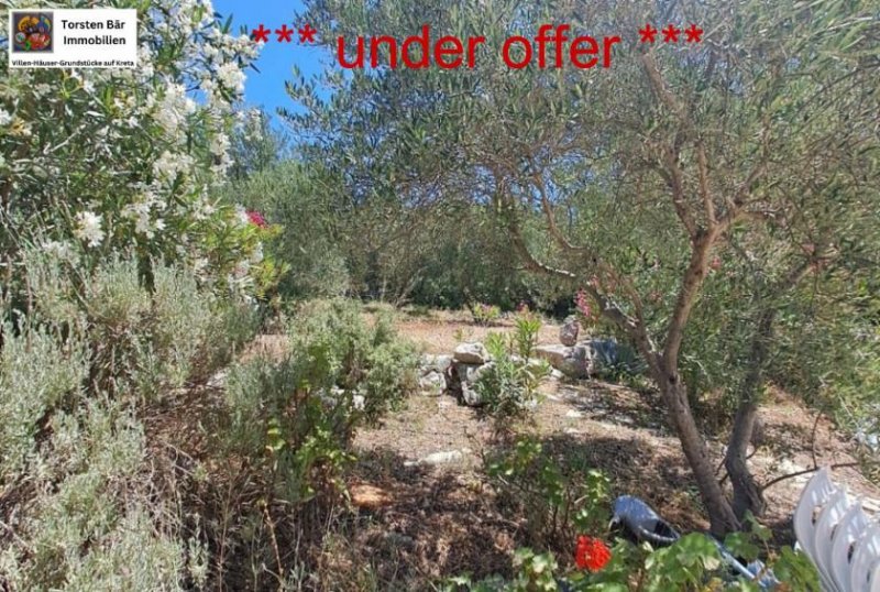 Gavalochori Kreta, Gavalochori - geräumige Gartenvilla m. Bergblick Haus kaufen